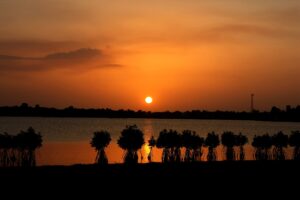 Northern to Eastern Sri Lanka 8-Day Journey
