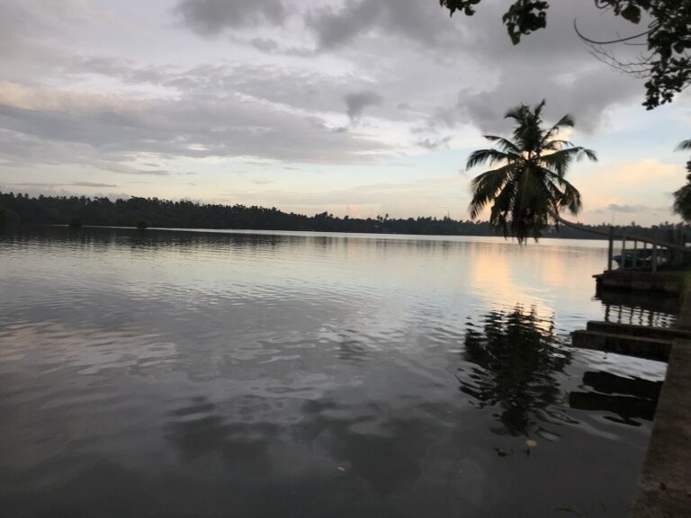 Bentota River Safari