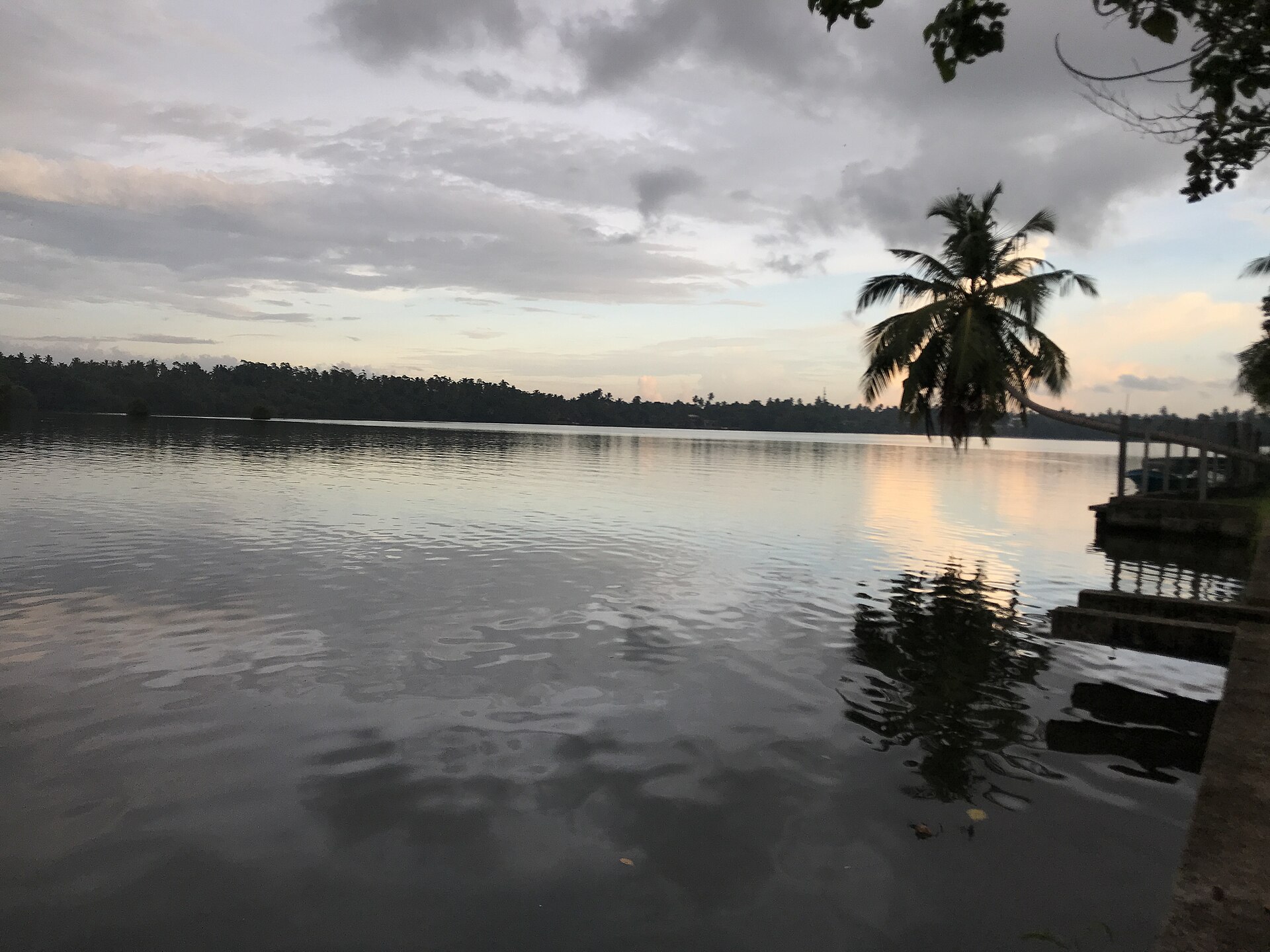 Bentota River Safari