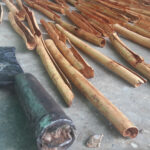 Cinnamon Experience in the South