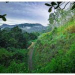 Sri Lanka by Train 6-Day Scenic Journey