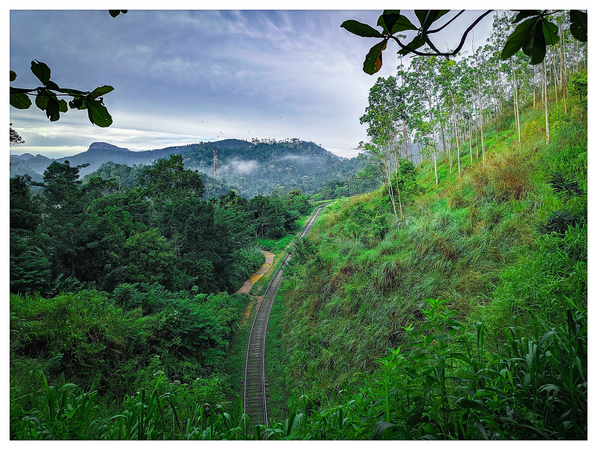 Sri Lanka by Train 6-Day Scenic Journey