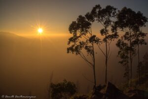 Sri Lanka Photography Grand Tour 12-Day