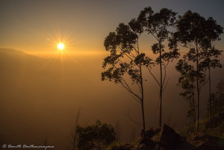 Sri Lanka Photography Grand Tour 12-Day