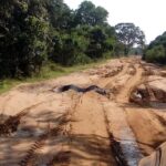 Wilpattu Safari