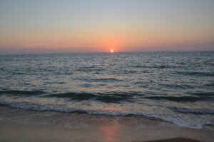 Kalpitiya Lagoon and Kite Experience