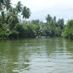 Madu Ganga Lagoon Boat Trip