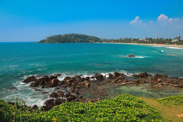 South Coast Surf and Culture 6-Day Tour