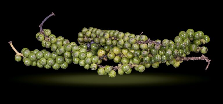 Black Pepper
