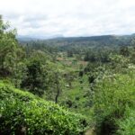 Kandy to Ella Scenic Train Journey