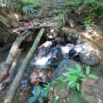Ratnapura Gems and Rainforest 4-Day Tour