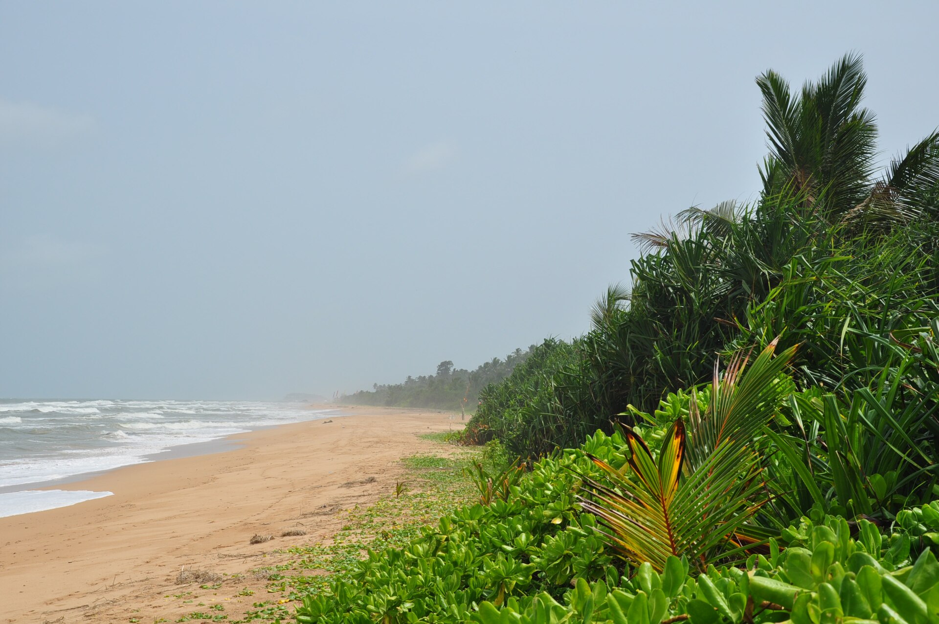 Beaches of Sri Lanka 8-Day Coast Tour