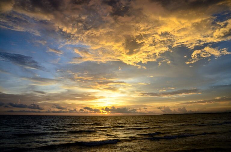 Yala Wildlife and South Coast 5-Day Tour