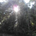 Sinharaja Rainforest Walk