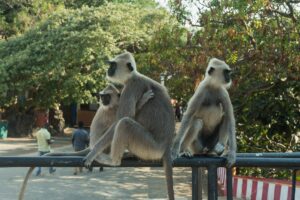 Eastern Coast Escape 6-Day Tour