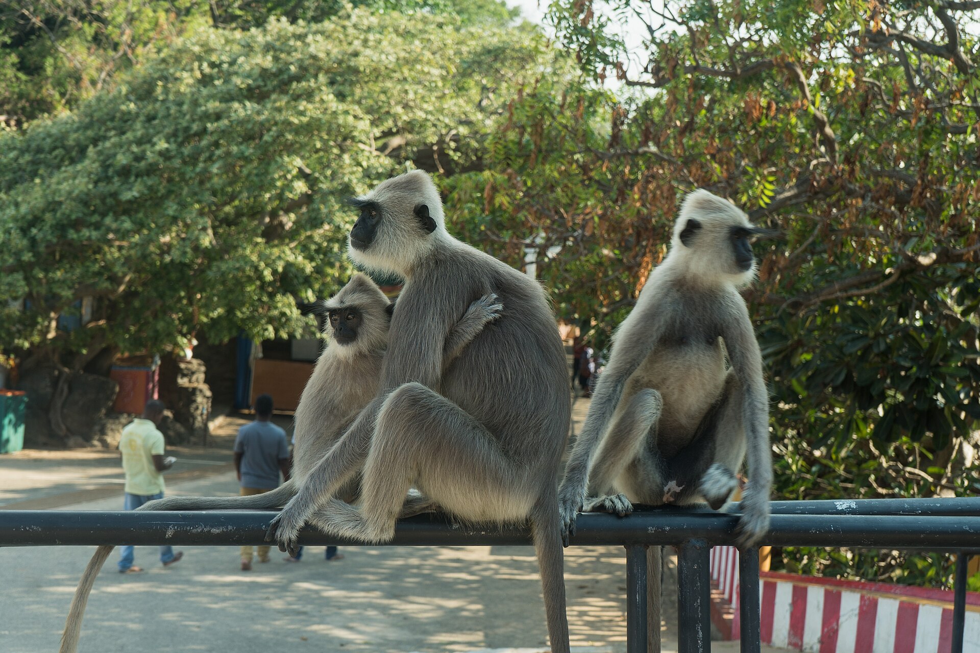 Eastern Coast Escape 6-Day Tour