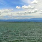 Udawalawe and Sinharaja Nature 4-Day Tour