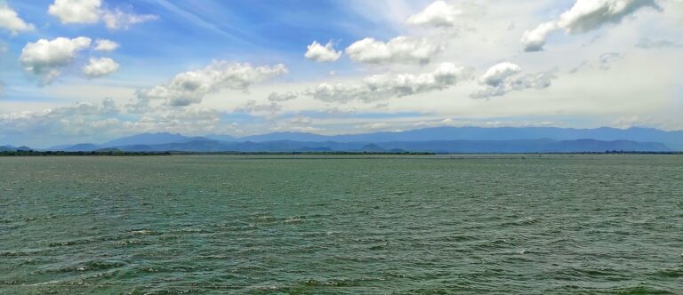 Udawalawe and Sinharaja Nature 4-Day Tour