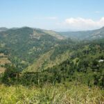 Sri Lanka Luxury Rail and Tea 5-Day Tour