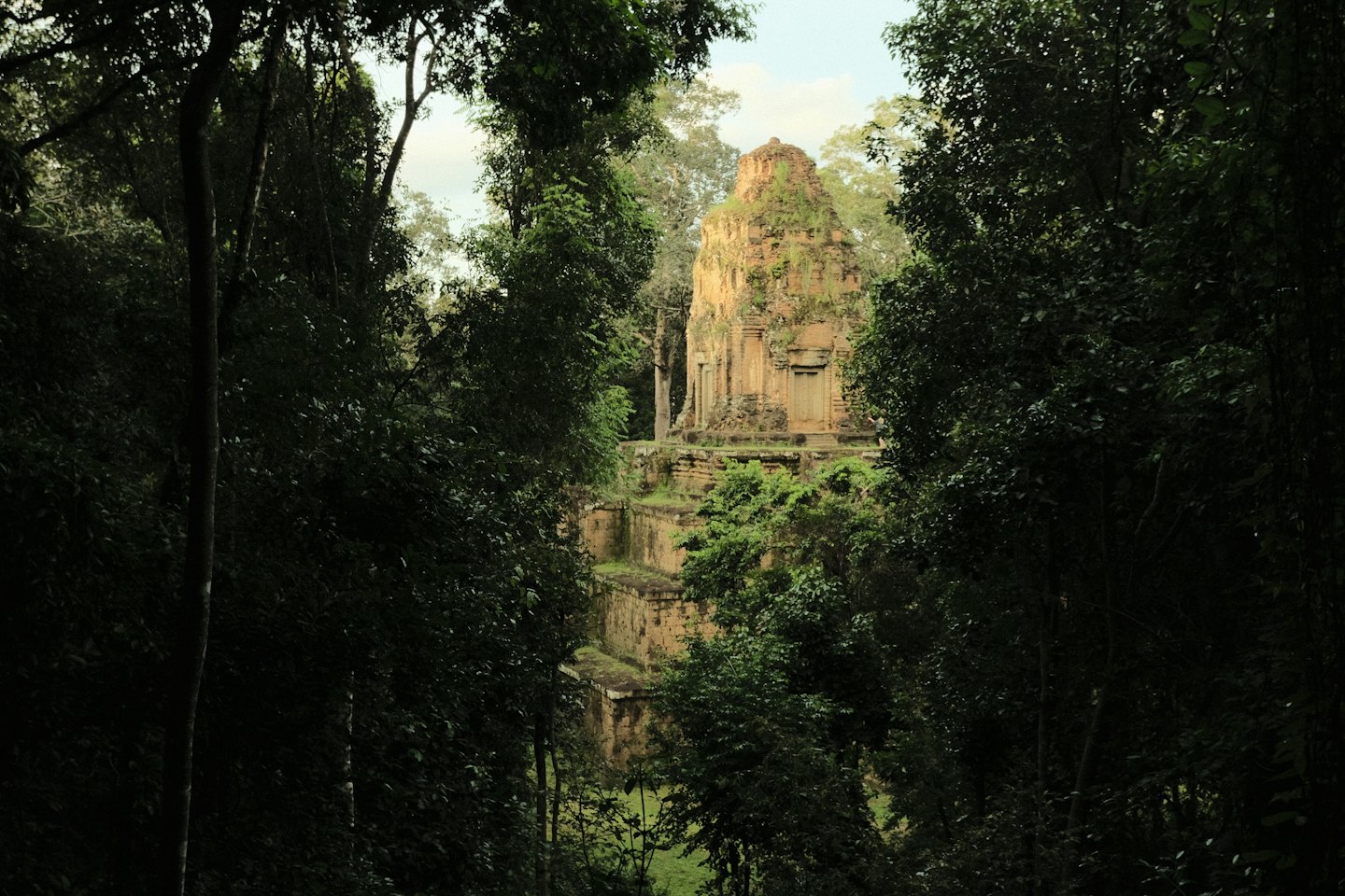 An ancient stone temple sits among dense tropical jungle foliage.