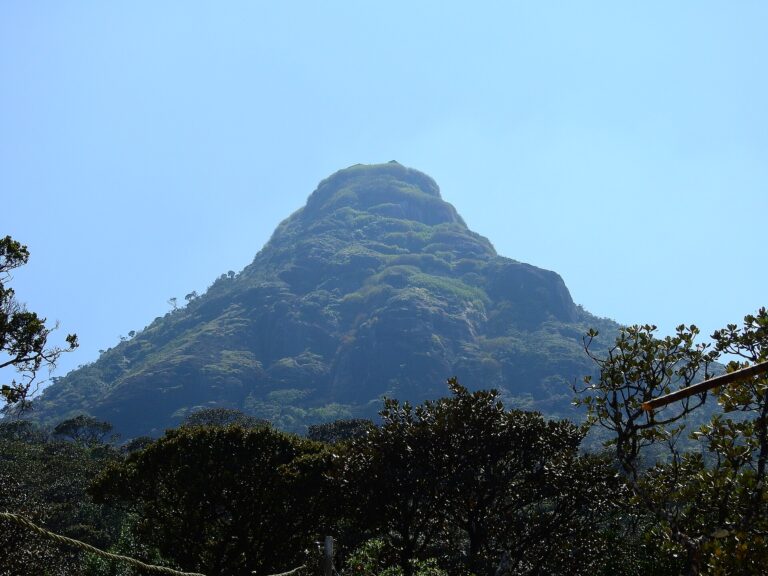 Adam’s Peak (Sri Pada) pilgrimage season