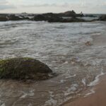Bentota