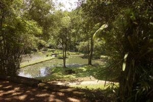 Lunuganga Country Estate