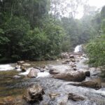 Sinharaja