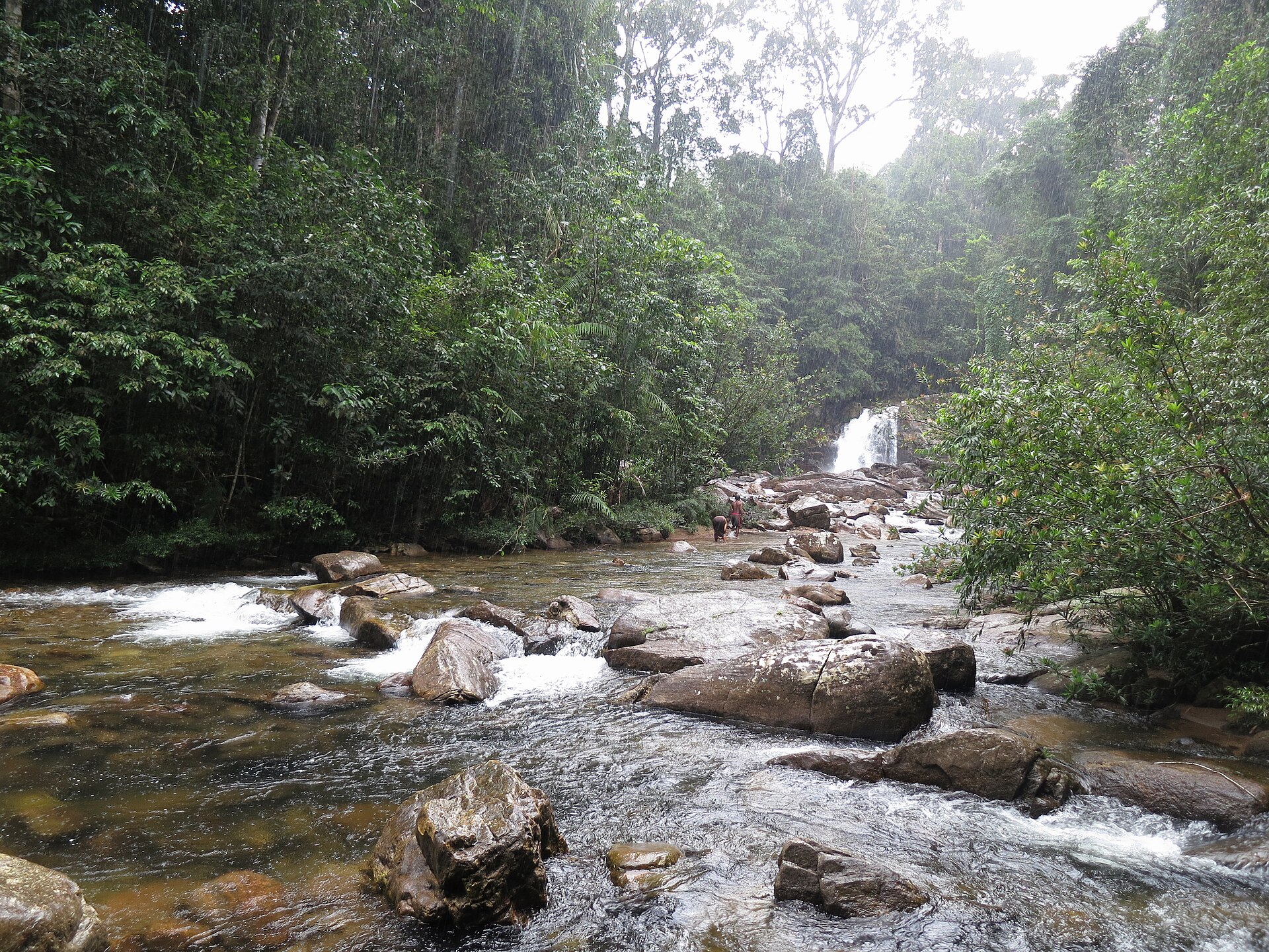 Sinharaja
